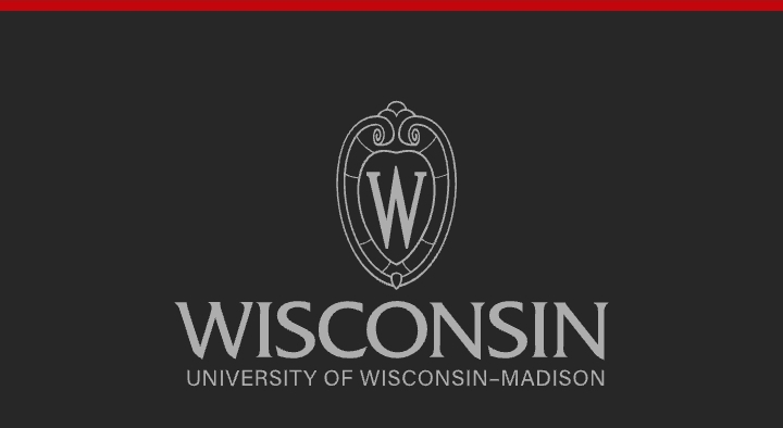 University of Wisconsin-Madison Logo on Website.